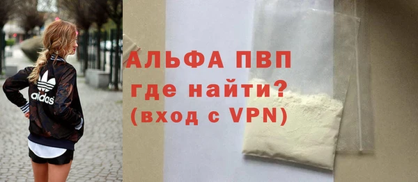 стаф Бикин